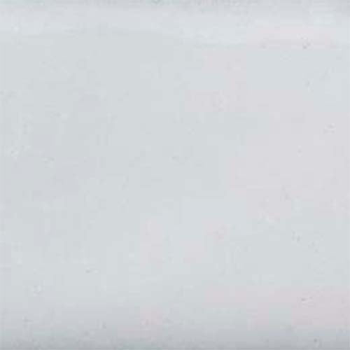Thompson Lead-Free Opaque Enamel Color 1010 Undercoat White 2 oz by PMC Supplies