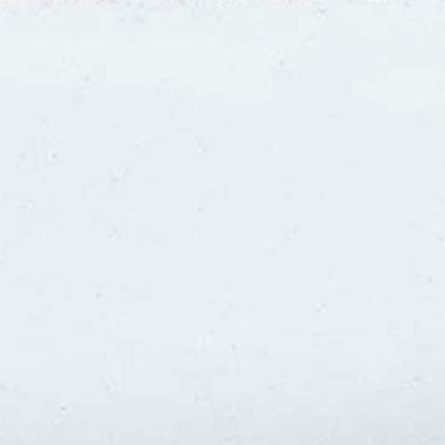 Thompson Lead-Free Opaque Enamel Color 1020 Titanium White 2 oz by PMC Supplies