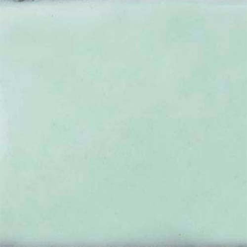 Thompson Lead-Free Opaque Enamel Color 1405 Pastel Bluish Green 2 oz by PMC Supplies