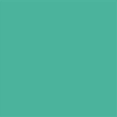 Thompson Lead-Free Opaque Enamel Color 1420 Mint Green 2 oz by PMC Supplies