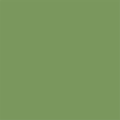 Thompson Lead-Free Liquid Form Opaque Enamel Color 791 Hunter Green 4 oz by PMC Supplies