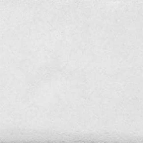 Thompson Lead-Free Liquid Form Brushable Opaque Enamel Color LCE-3 White 4 oz by PMC Supplies