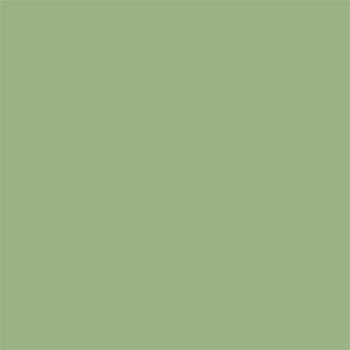 Thompson Lead-Free Opaque Enamel Color 1335 Pea Green 2 oz