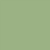 Thompson Lead-Free Opaque Enamel Color 1335 Pea Green 2 oz