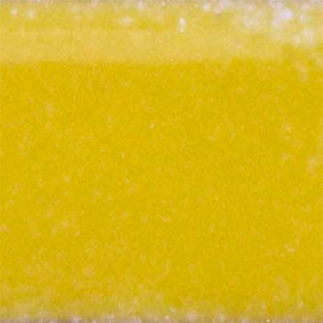 Thompson Lead-Free Opaque Enamel Color 1810 Buttercup Yellow 2 oz