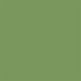 Thompson Lead-Free Liquid Form Opaque Enamel Color 791 Hunter Green 4 oz 