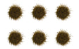 6/Pk Mounted Crimped Brass Cup Brushes w/ 3/32" Shanks