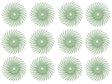 12 Pack 3/4" Light Green 1 Micron 3M Radial Disc Set