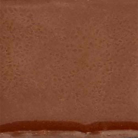 Thompson Lead-Free Liquid Form Brushable Opaque Enamel Color LCE-6 Brown 4 oz