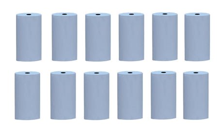 Silicon Polishers Unmounted - Fine (Light Blue) Large Cylinder, Pk/12