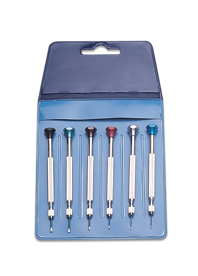 6 Piece Screwdriver Set w/ Sizes #4 - #9