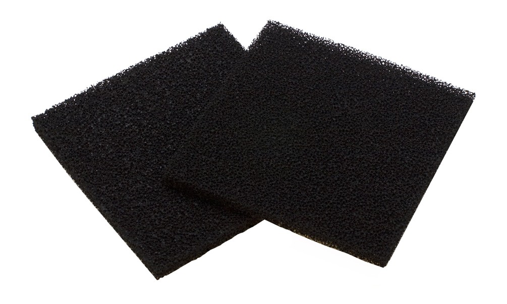 Replacement Carbon Filters (Pack of 2)